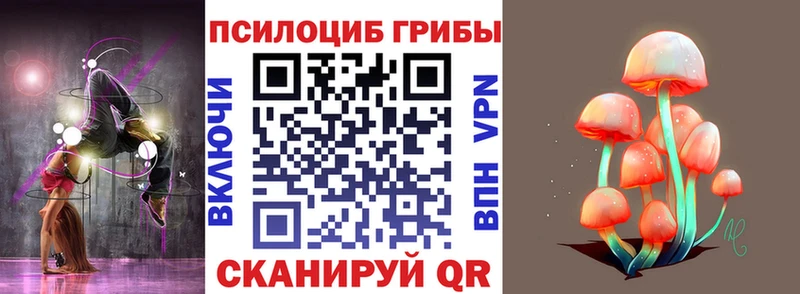 Галлюциногенные грибы Psilocybine cubensis  Вольск 